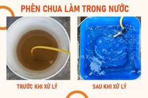 Trả lời: Vì sao phèn chua làm trong nước?